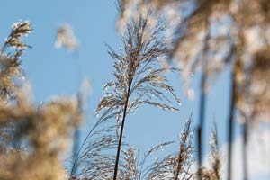 Engelbotschaft für die Woche vom  03.03.- 09.03.2025
