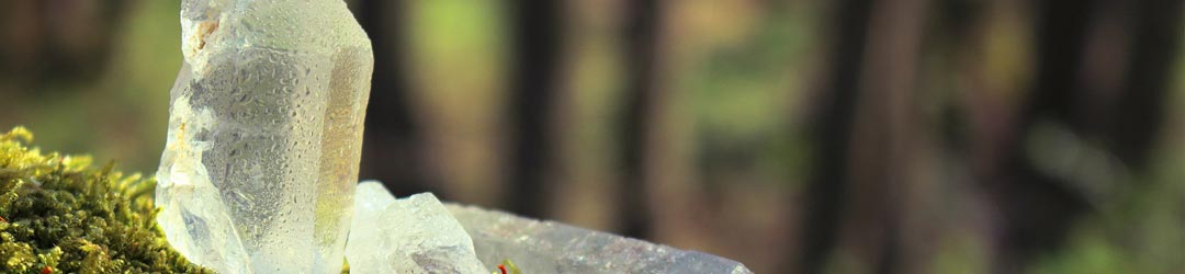 Bachblüten und Heilsteine